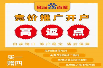 百度平台广告投放策略及成功案例分享